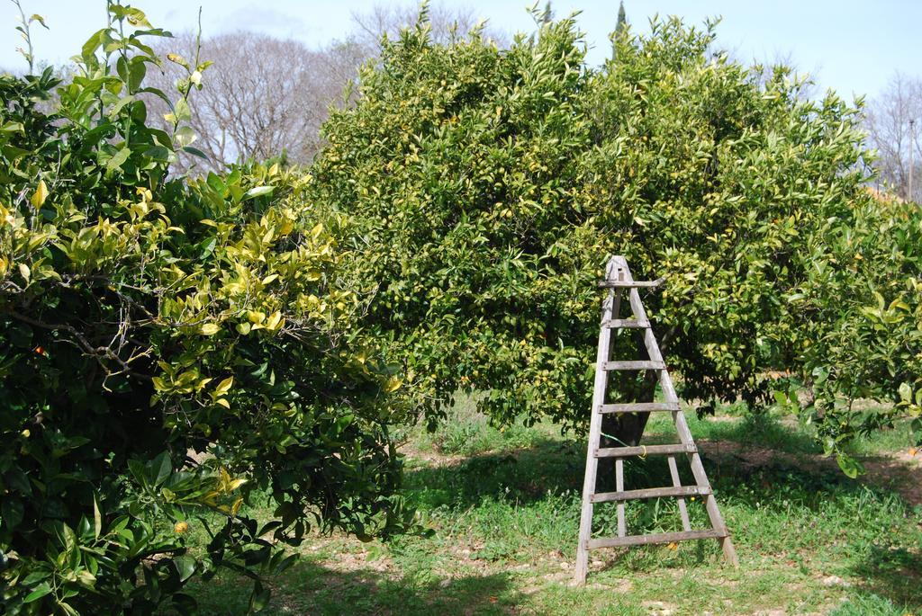 Finca Son Vivot Esterno foto