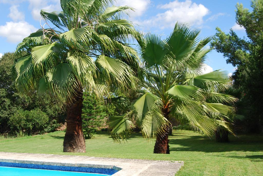 Finca Son Vivot Esterno foto
