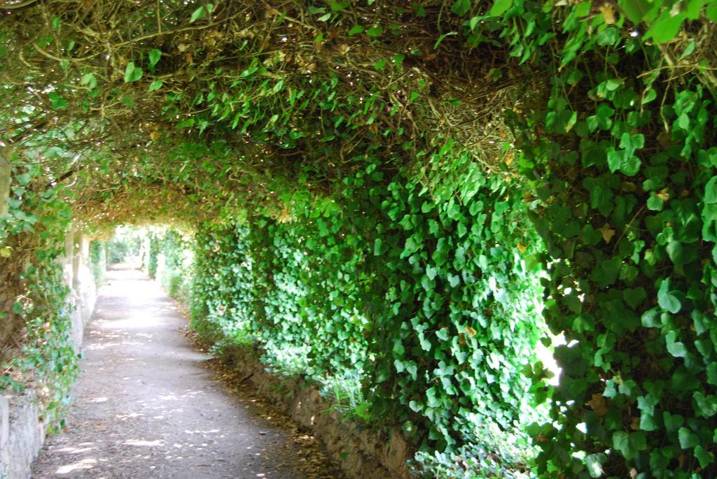 Finca Son Vivot Esterno foto