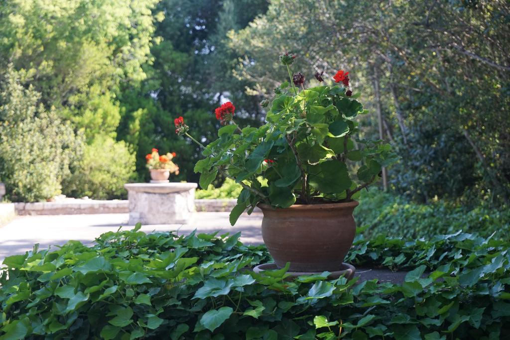 Finca Son Vivot Esterno foto